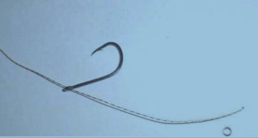 cm2002_2
