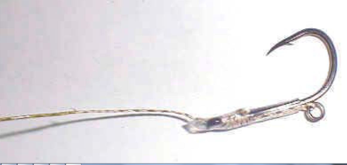 cm2002_5