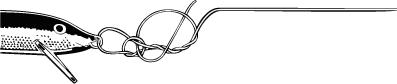 nodul_rapala_5